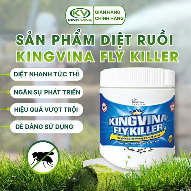 Hũ Kingvina Fly Killer