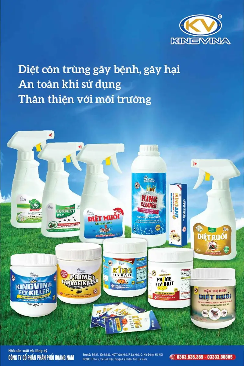 Poster lineup sản phẩm Kingvina, cắt phía trên, không dùng phần địa chỉ in ở chân poster